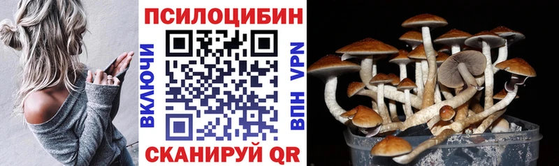 Купить закладки  Удомля  Псилоцибиновые грибы прущие грибы 